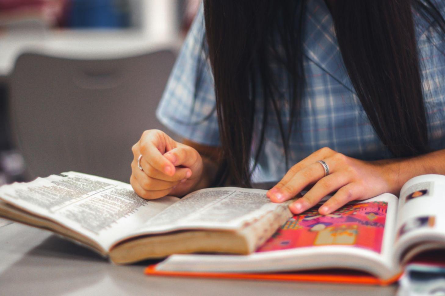 Detalle de técnica fotográfica aplicada en captura de vida silvestre