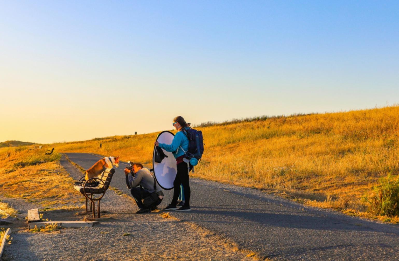 Fotografía de fauna salvaje capturada por estudiante en entorno natural
